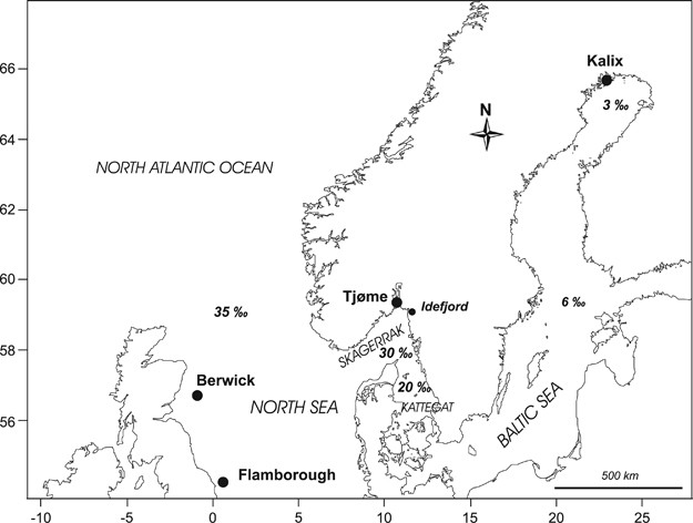 Detecting Population Structure In A High Gene Flow Species Atlantic Herring Clupea Harengus Direct Simultaneous Evaluation Of Neutral Vs Putatively Selected Loci Heredity