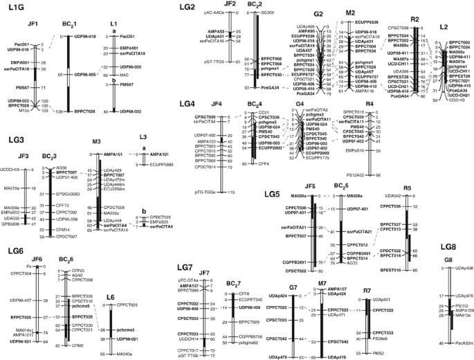 Comparison Of The Genetic Determinism Of Two Key Phenological Traits Flowering And Maturity Dates In Three Prunus Species Peach Apricot And Sweet Cherry Heredity Comparison Of The Genetic Determinism Of Two Key Phenological Traits Flowering And Maturity Dates In Three Prunus Species Peach Apricot And Sweet Cherry Heredity