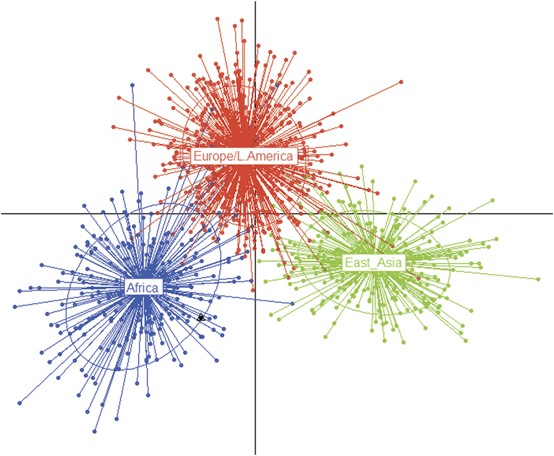 Bugün öğrendim ki: Neandertallerin soğuk hava...