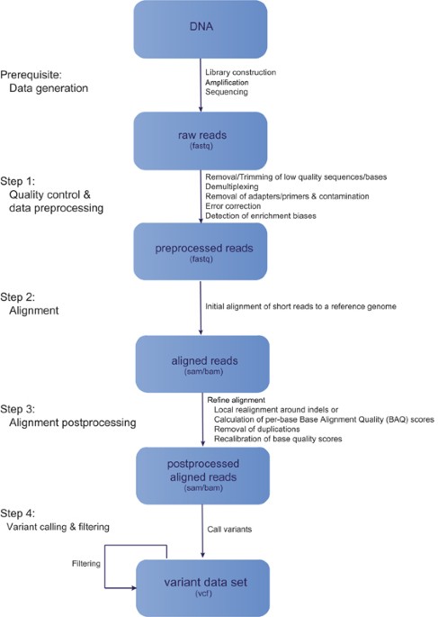 from next generation resequencing reads