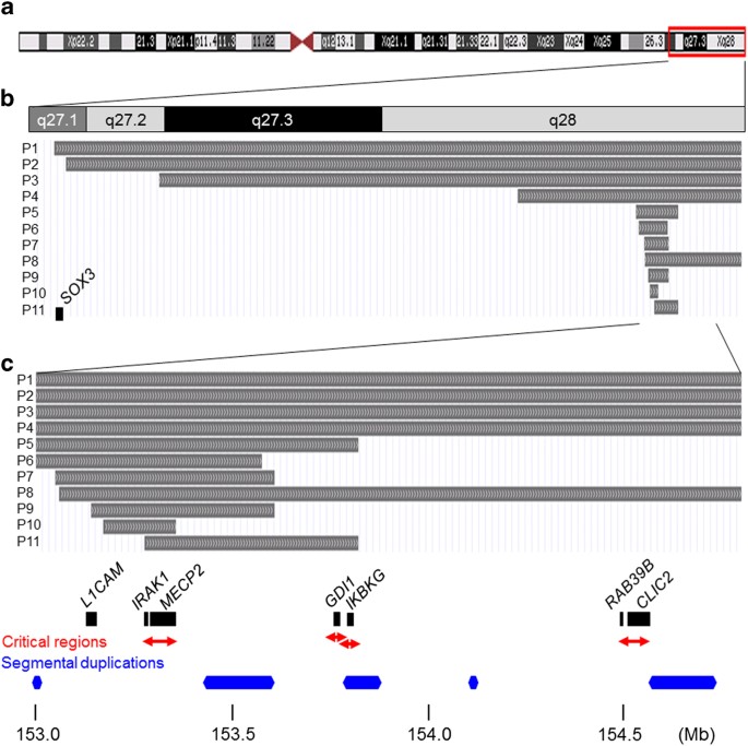 Clinical impacts of genomic copy number gains at Xq28