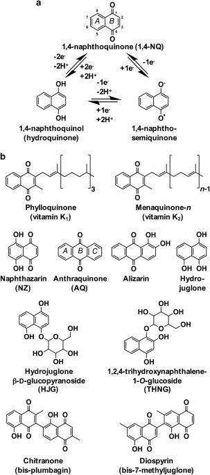 Biosynthesis and molecular actions of specialized 1,4-naphthoquinone natural products produced by horticultural plants