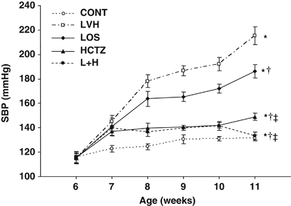 Mechanism Underlying The Efficacy Of Combination Therapy With Losartan And Hydrochlorothiazide In Rats With Salt Sensitive Hypertension Hypertension Research