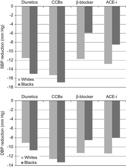 Ethnic Differences In Genetic Predisposition To Hypertension Hypertension Research