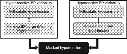 orthostatic blood pressure