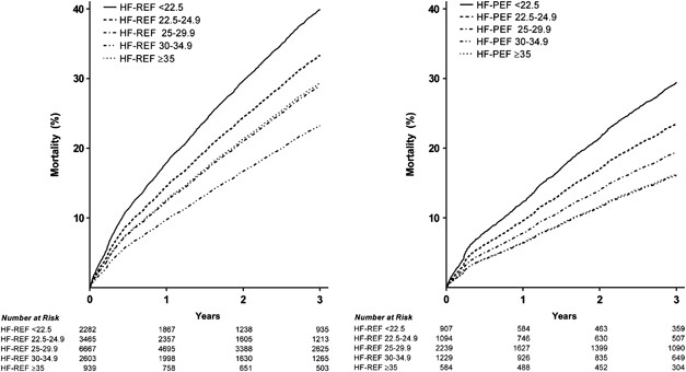 https://media.springernature.com/m685/springer-static/image/art%3A10.1038%2Fijo.2013.203/MediaObjects/41366_2014_Article_BFijo2013203_Fig2_HTML.jpg