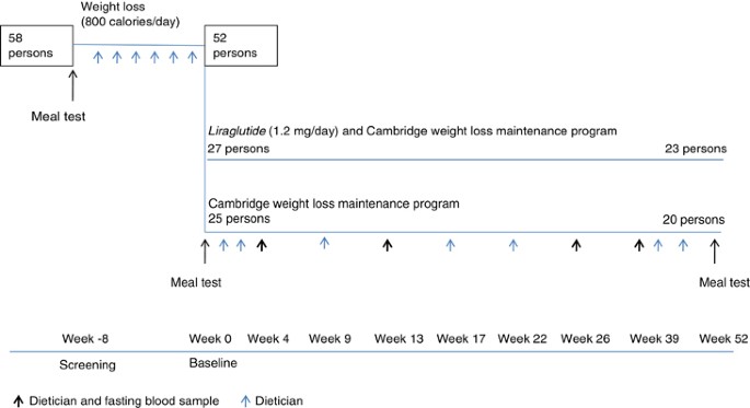 glp 1 as a pill How Oral GLP-1 Medication Will Impact the Patient Medication Journey