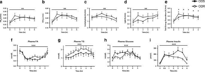 Diet Resistant Obesity Is Characterized By A Distinct Plasma Proteomic Signature And Impaired Muscle Fiber Metabolism International Journal Of Obesity