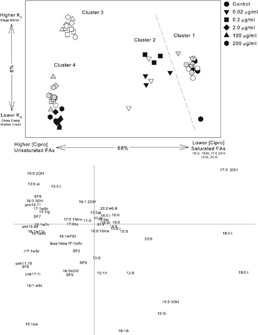 Effects of ciprofloxacin on salt marsh sediment microbial communities
