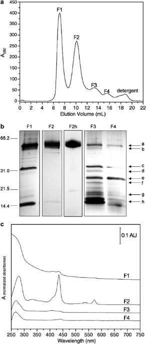 Cytochrome 572 is a conspicuous membrane protein with iron oxidation activity purified directly from a natural acidophilic microbial community