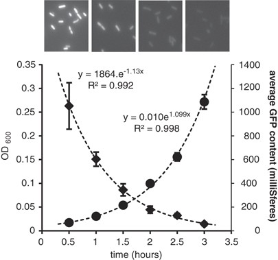 Linking environmental heterogeneity and reproductive success at single-cell resolution