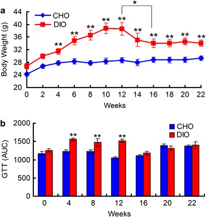 Structural resilience of the gut microbiota in adult mice under high-fat dietary perturbations