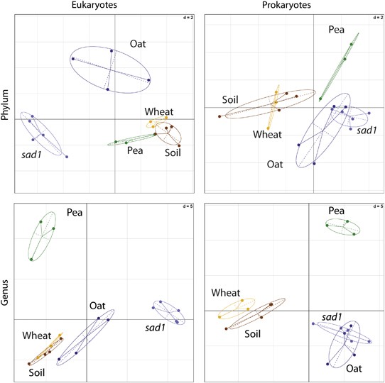 Comparative metatranscriptomics reveals kingdom level changes in the rhizosphere microbiome of plants