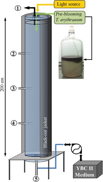feature-image