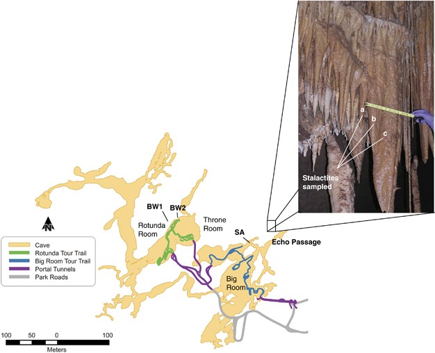 Making a living while starving in the dark: metagenomic insights into the energy dynamics of a carbonate cave