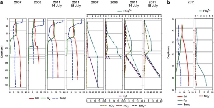 Active Nitrogen Fixing Heterotrophic Bacteria At And Below The Chemocline Of The Central Baltic Sea The Isme Journal