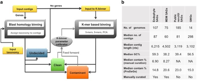 ProDeGe: a computational protocol for fully automated decontamination of genomes