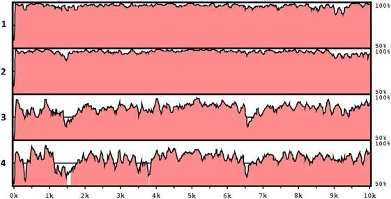 Diversity In A Honey Bee Pathogen First Report Of A Third Master Variant Of The Deformed Wing Virus Quasispecies The Isme Journal Diversity In A Honey Bee Pathogen First Report Of A Third Master Variant Of The Deformed Wing Virus Quasispecies The Isme Journal