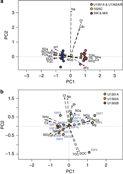 Novel microbial assemblages inhabiting crustal fluids within mid-ocean ridge flank subsurface basalt