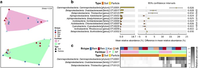 Chemolithotrophic processes in the bacterial communities on the surface of mineral-enriched biochars