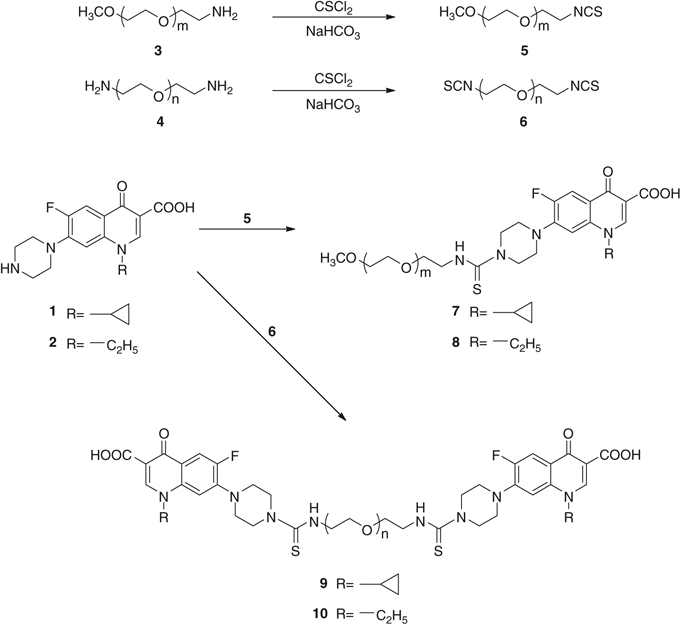 Synthesis And Antimicrobial Activity Of Ciprofloxacin And Norfloxacin Permanently Bonded To Polyethylene Glycol By A Thiourea Linker The Journal Of Antibiotics Synthesis And Antimicrobial Activity Of Ciprofloxacin And Norfloxacin Permanently Bonded To Polyethylene Glycol By A Thiourea Linker The Journal Of Antibiotics