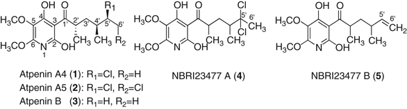 New atpenins, nbri23477 a and b, inhibit the growth of human prostate cancer cells