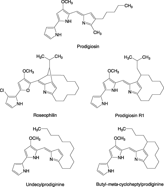 prodigiosin biosynthesis gene cluster
