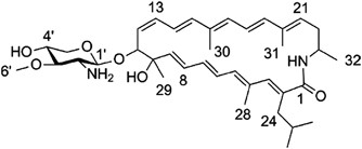 Silvalactam A 24 Membered Macrolactam Antibiotic Produced By Streptomyces Sp Tu 6392 The Journal Of Antibiotics