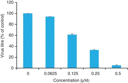 Geldanamycin, a ligand of heat shock protein 90, inhibits herpes simplex virus type 2 replication both in vitro and in vivo