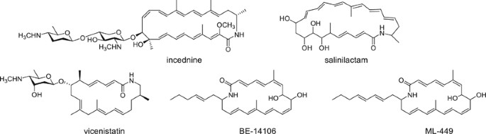 Identification of the incednine biosynthetic gene cluster: characterization of novel β-glutamate-β-decarboxylase idnl3