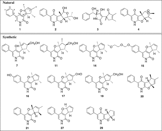 Synthesis and biological activity of citridone a and its derivatives
