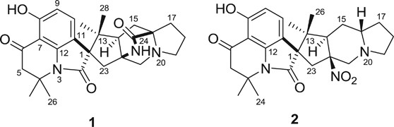 Cycloexpansamines A and B: spiroindolinone alkaloids from a marine isolate of Penicillium sp. (SF-5292)