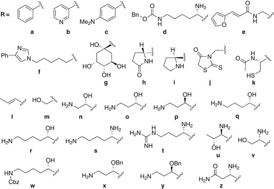 Synthesis and antibacterial activity of 4″ or 6″-alkanoylamino derivatives of arbekacin