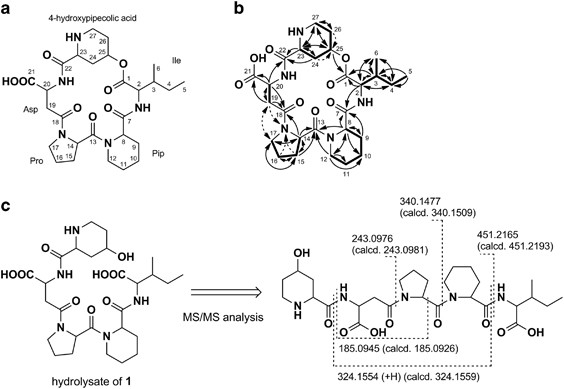 Mbj-0110, a novel cyclopeptide isolated from the fungus penicillium sp. F25267