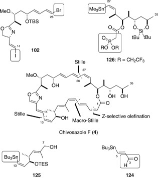 Challenges and discoveries in the total synthesis of complex polyketide  natural products