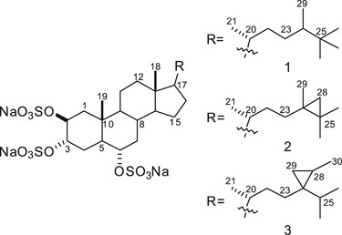 Halistanol Sulfates I And J New Sirt1 3 Inhibitory Steroid Sulfates From A Marine Sponge Of The Genus Halichondria The Journal Of Antibiotics