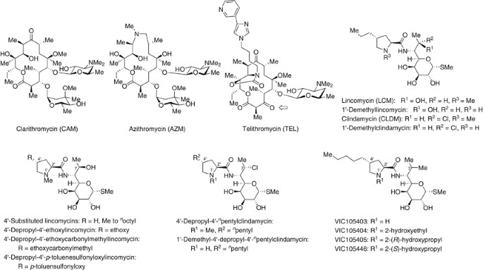 Synthesis and structure–activity relationships of novel lincomycin derivatives. Part 4: synthesis of novel lincomycin analogs modified at the 6- and 7-positions and their potent antibacterial activities