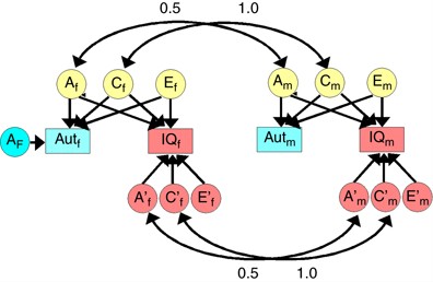 Genetic Correlation Between Autistic Traits And Iq In A Population Based Sample Of Twins With Autism Spectrum Disorders Asds Journal Of Human Genetics