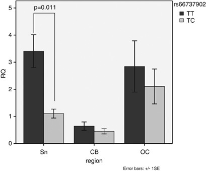 The screening of the 3′UTR sequence of LRRK2 identified an association between the rs66737902 polymorphism and Parkinson’s disease