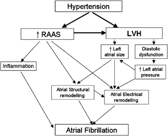 can high blood pressure cause heart arrhythmia