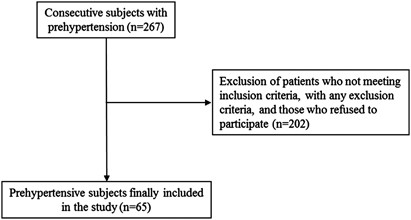 Relationship between inflammation and microalbuminuria in