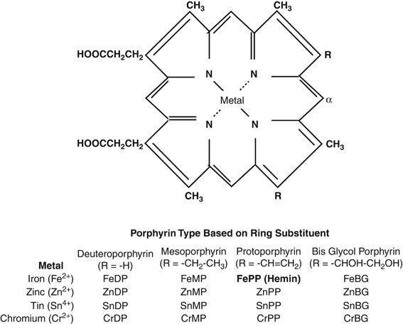 In Vitro Inhibition Of Heme Oxygenase Isoenzymes By Metalloporphyrins Journal Of Perinatology In Vitro Inhibition Of Heme Oxygenase Isoenzymes By Metalloporphyrins Journal Of Perinatology