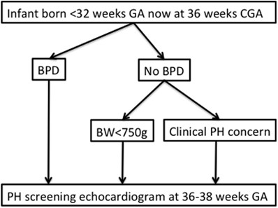 Pulmonary hypertension in preterm infants: results of a prospective screening program