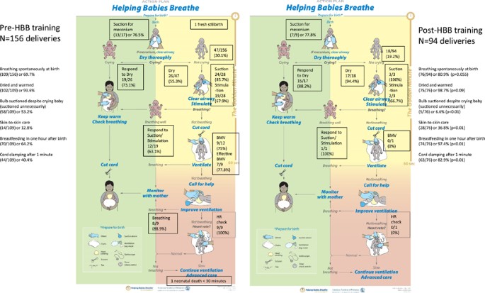 Helping Babies Breathe Facilitator Flip Chart