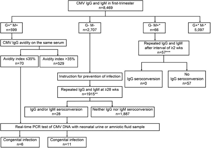 Anti Cytomegalovirus Immunoglobulin M Titer For Congenital Infection In First Trimester Pregnancy With Primary Infection A Multicenter Prospective Cohort Study Journal Of Perinatology
