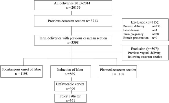 Induction Of Labour Flow Chart