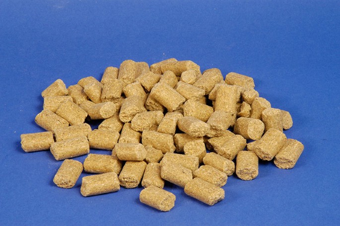 boston terrier funko pop