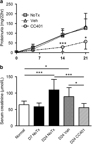 Blockade Of The C Jun Amino Terminal Kinase Prevents Crescent Formation And Halts Established Anti Gbm Glomerulonephritis In The Rat Laboratory Investigation