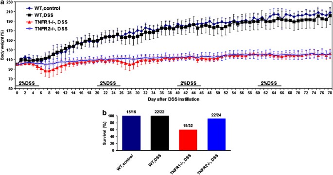 Protective Role Of Tumor Necrosis Factor Tnf Receptors In Chronic Intestinal Inflammation Tnfr1 Ablation Boosts Systemic Inflammatory Response Laboratory Investigation Protective Role Of Tumor Necrosis Factor Tnf Receptors In Chronic Intestinal Inflammation Tnfr1 Ablation Boosts Systemic Inflammatory Response Laboratory Investigation