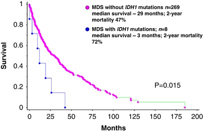 Differential prognostic effect of idh1 versus idh2 mutations in myelodysplastic syndromes: a mayo clinic study of 277 patients